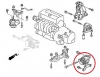Transmission Mount (manual transmission)